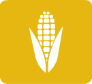 Corn Fed Chicken | Irish Corn fed Chicken Supplier