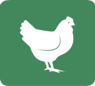 Free Range Chicken | Irish Free Range Chicken Supplier