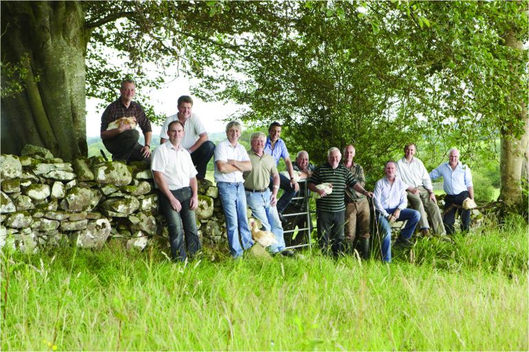 Manor Farm Chicken Farmers Ireland