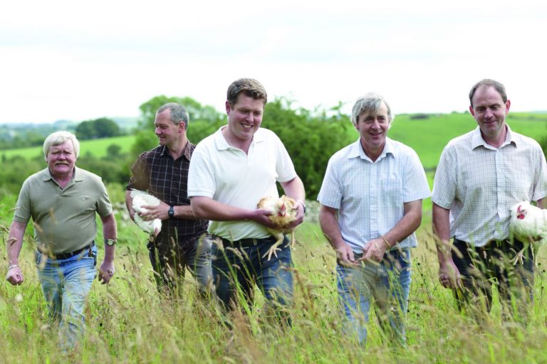 Manor Farm Chicken Farmers Ireland