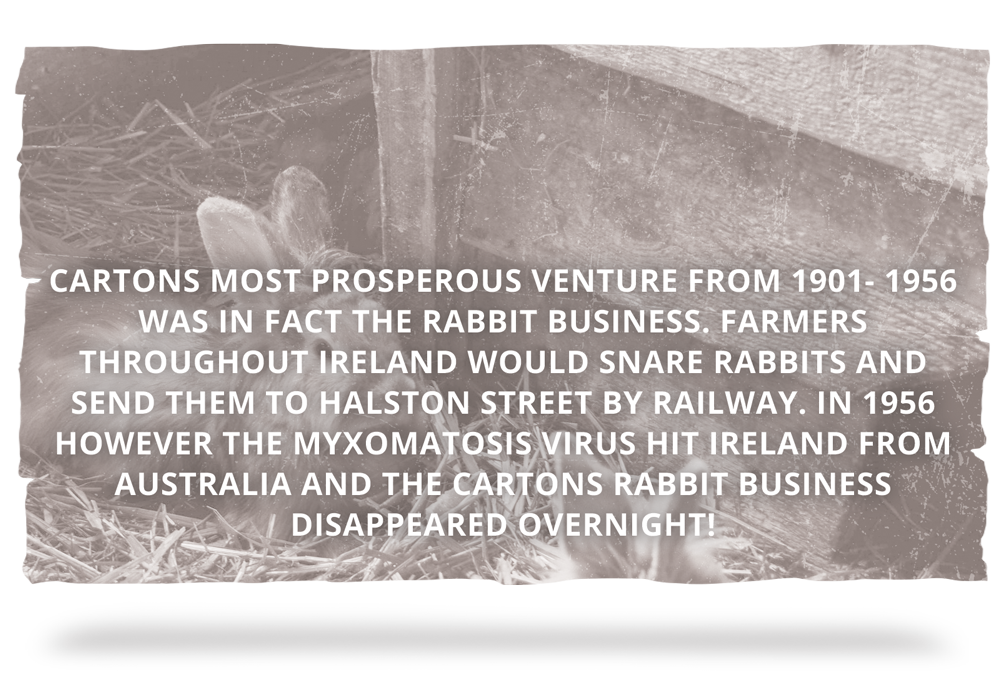 THE RABBIT BUSINESS Cartons most prosperous venture from 1901- 1956 was in fact the rabbit business. Farmers throughout Ireland would snare rabbits and send them to Halston Street by railway. In 1956 however the myxomatosis virus hit Ireland from Australia and the Cartons rabbit business disappeared overnight!